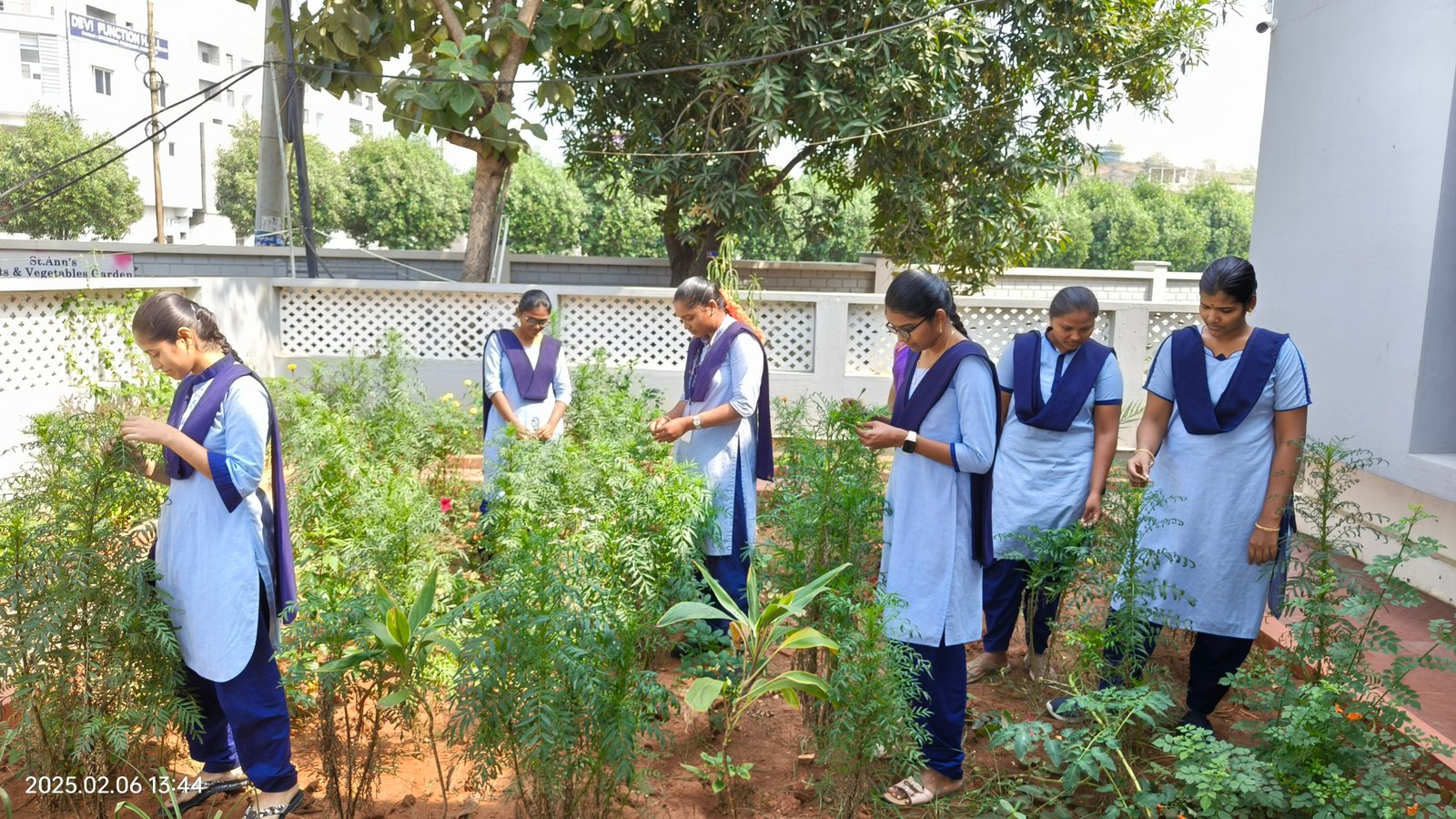 Eco-Friendly Green Campus & Solar Grids view 19