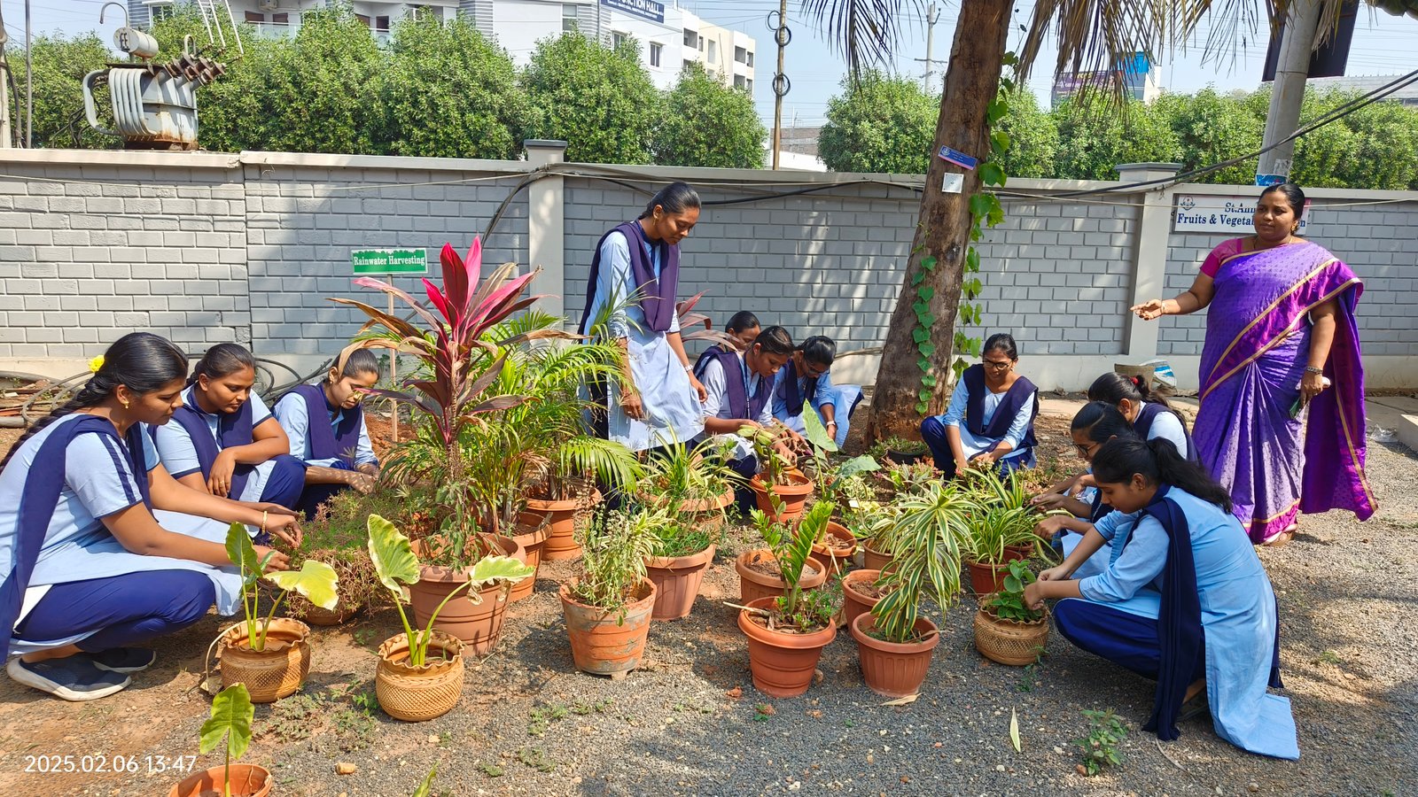 Eco-Friendly Green Campus & Solar Grids view 21